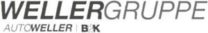 wellergruppe logo